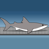 New York Shark