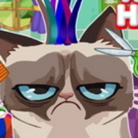 Angry Cat Hair Salon