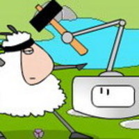 Ovcata Ninja Reincarnation