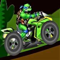Ninja Turtle Dirt Bike