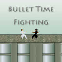 Bullet Time Fighting