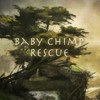 Baby Chimp Rescue
