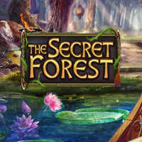 The Secret Forest