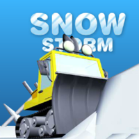Snow Storm