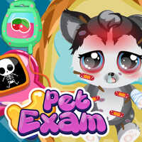 Pet Exam