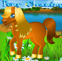 Pony Cleaning