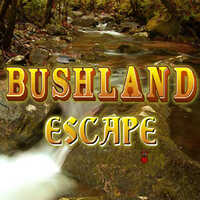 Bushland Escape