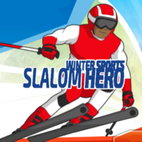 Winter Sports Slalom Hero