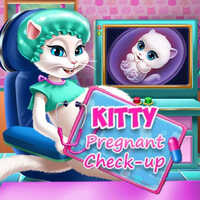 Kitty Pregnant Check-up