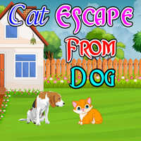 Cat Escape From Dog