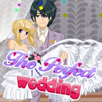 The Perfect Wedding