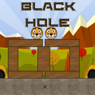 Black Hole