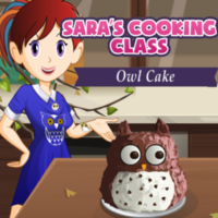 Sara’s Cooking Class Owl Cake