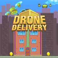 Drone Delivery