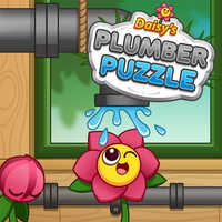Daisy's Plumber Puzzle