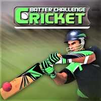 Cricket Batter Challenge