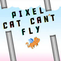 Pixel Cat Can't Fly