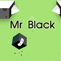 Mr Black