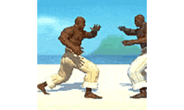 Capoeira