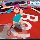 Summer Sports: Boxing