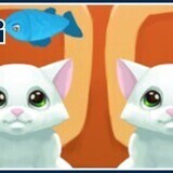 Nom Nom Kitties