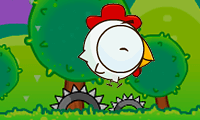Crazy Chicken