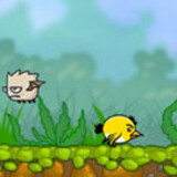 Bird Attacks