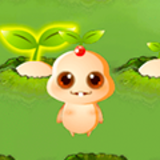 Ginseng Baby