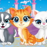 Pets Beauty Salon
