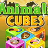 Animal Cubes